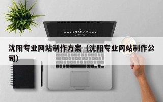 安康沈阳专业网站制作方案（沈阳专业网站制作公司）